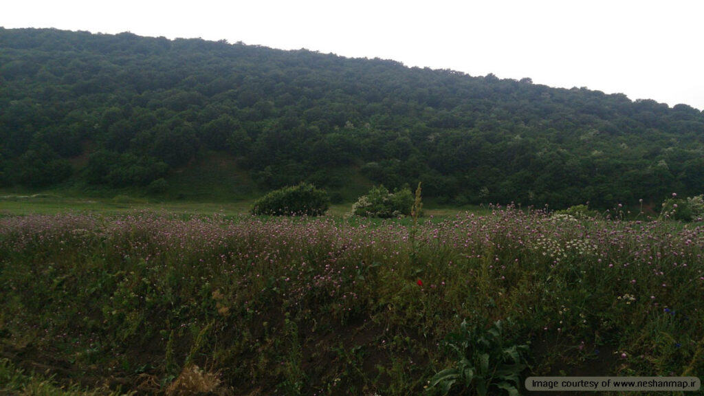 زیبایی‌های جنگل فندقلو در گردنه حیران