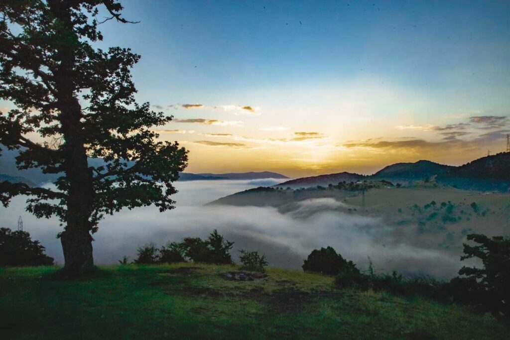 چگونگی دسترسی به جنگل ابر شاهرود