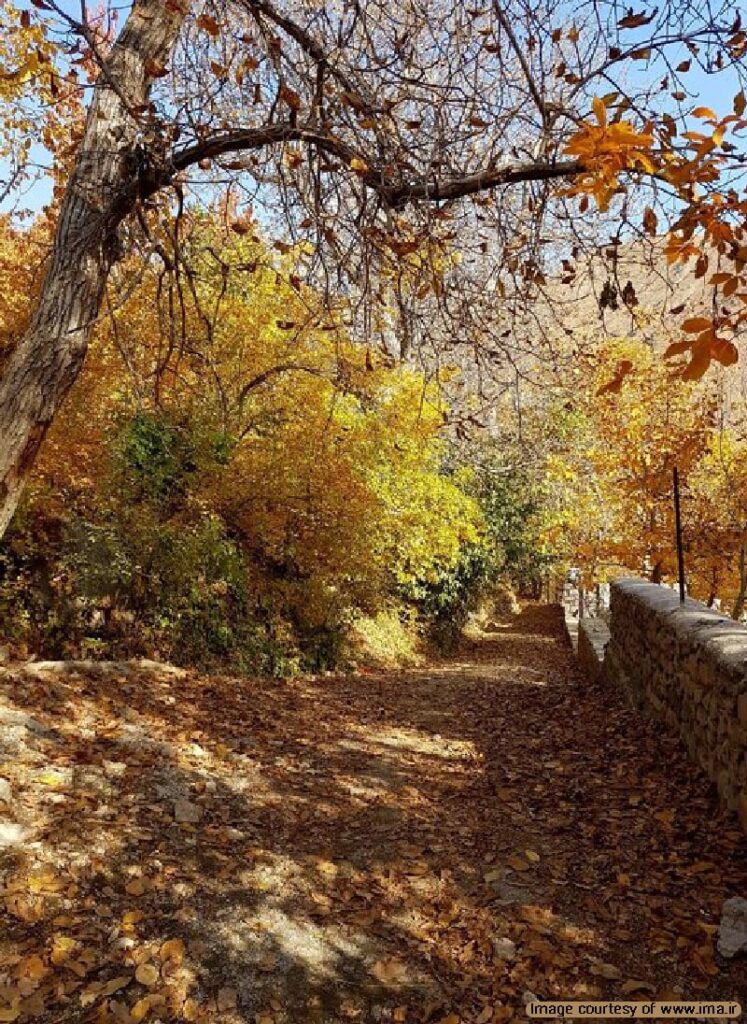 روستای برگ جهان در لواسان قرار دارد