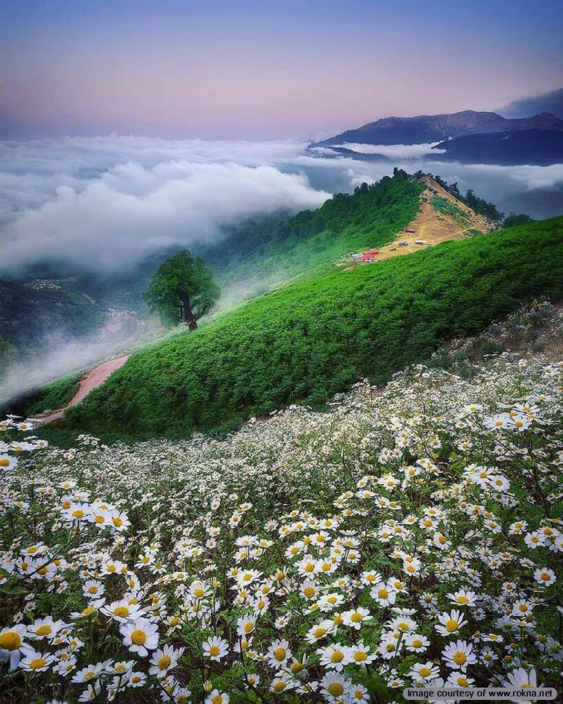 زیبایی‌های تماشایی ییلاق‌ها در ماسال