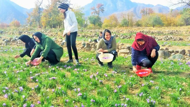 پتانسیل گردشگری کشاورزی در ایران