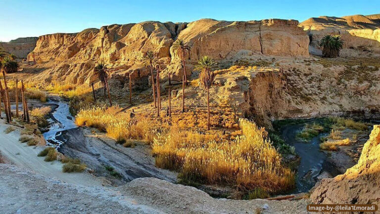 معرفی روستای کشیت کرمان در دل کویر