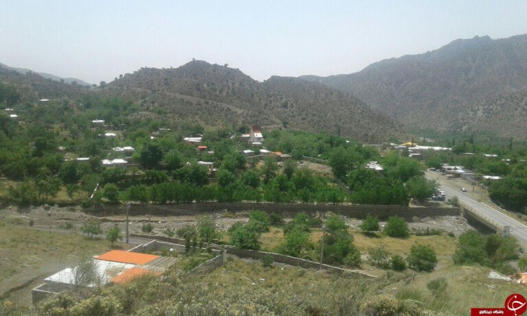 آشنایی با روستای دلفارد جیرفت