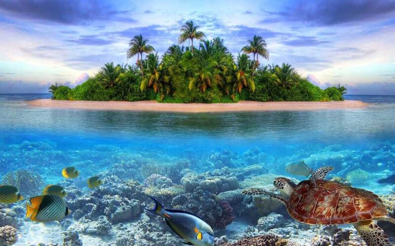قبل از رزرو تور مالدیو با جاذبه‌های طبیعی این کشور آشنا شوید