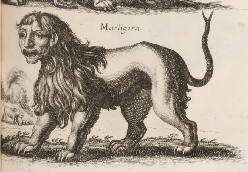 Manticore, the man-eater