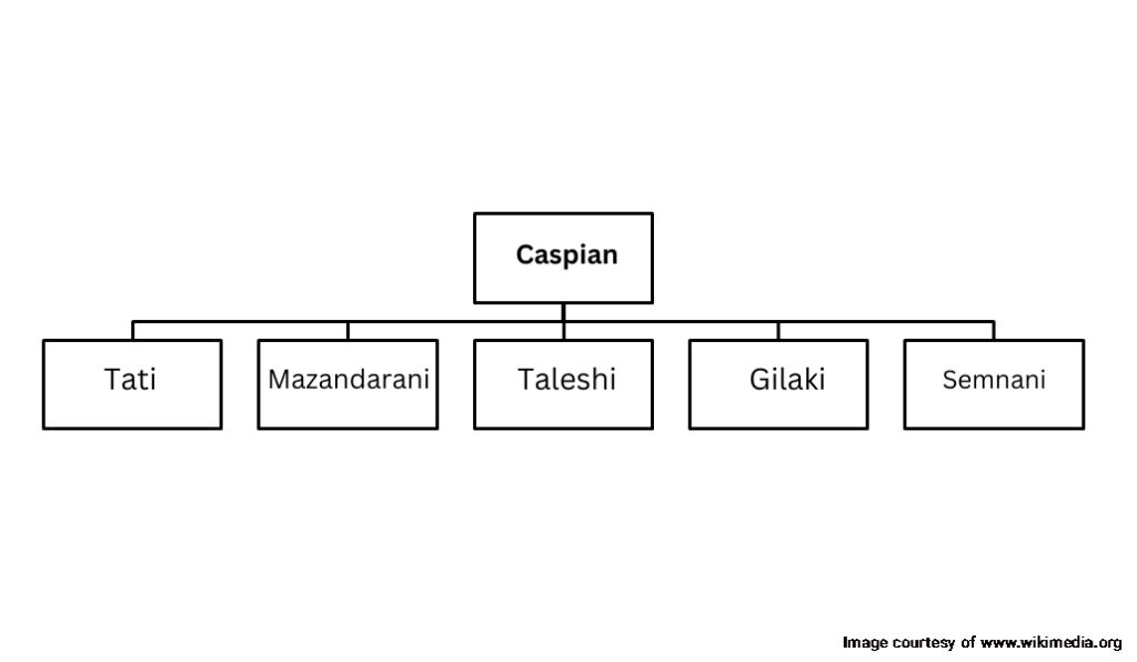 The classification of modern Caspian languages