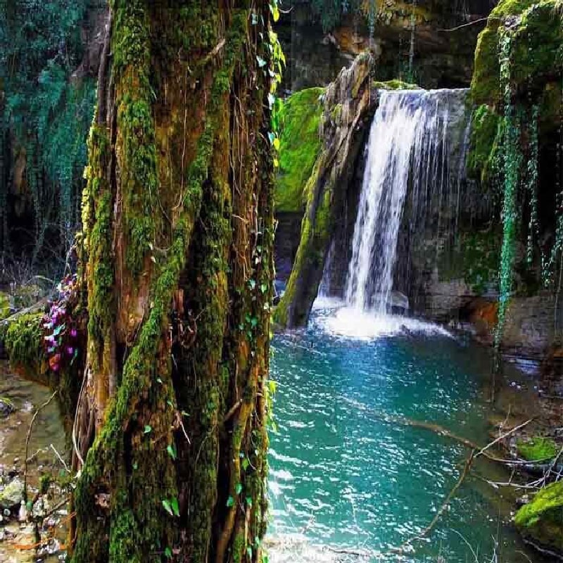 Gambil Canyon in Shiraz province