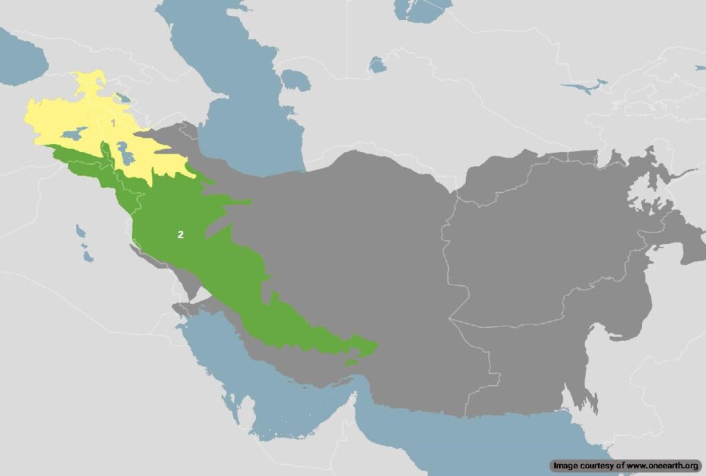 A map of steppe and forest areas in the Zagros region