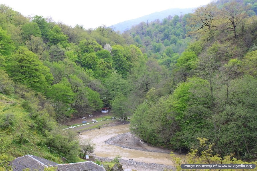 The Alborz mountains include cinematic forests