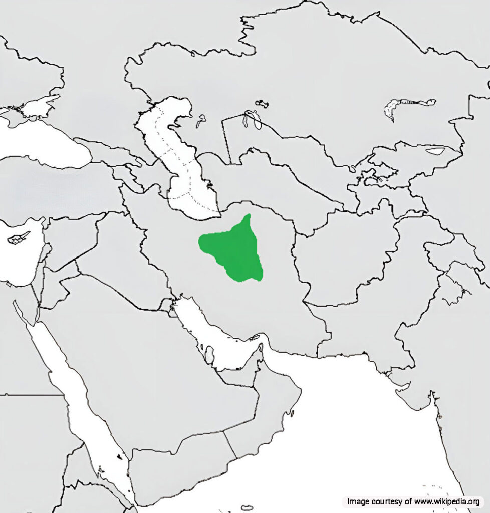 The habitats of the Asiatic Cheetah in Iran